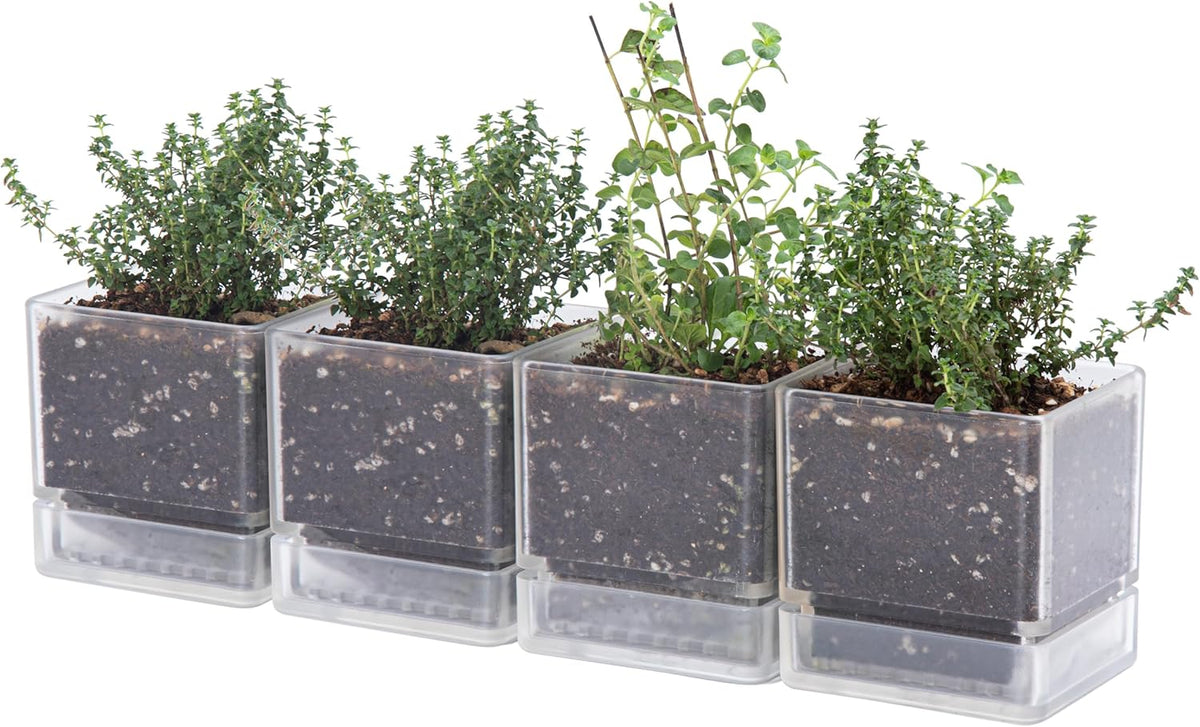4 Inch Herb Planter Pot, Plastic Planter with Drainage Holes and Saucer, Modern Decorative