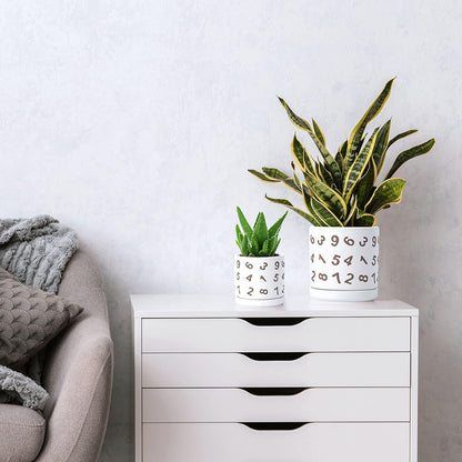 D'vine Dev Set of 2 Ceramic Planter Pots with Drainage Hole and Saucer, 6 Inch Plant Pots for