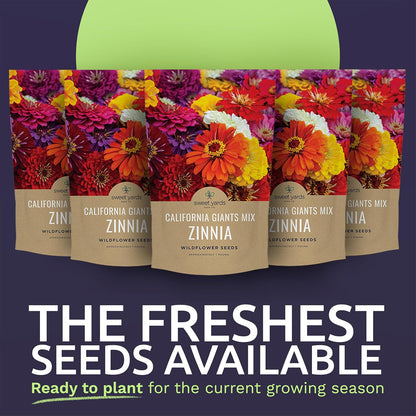 Bulk Zinnia Seeds - California Giants Mix - 5 Pounds - Over 240,000 Flower Seeds - Mixed Colors and