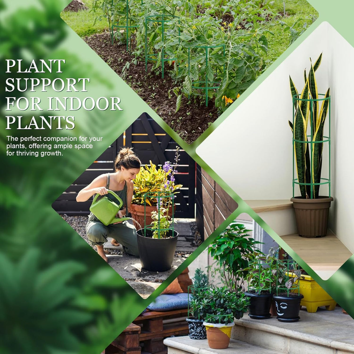24Pcs Plant Support Stakes, Half Round Plant Stakes for Indoor Plants, Stackable Garden Flower