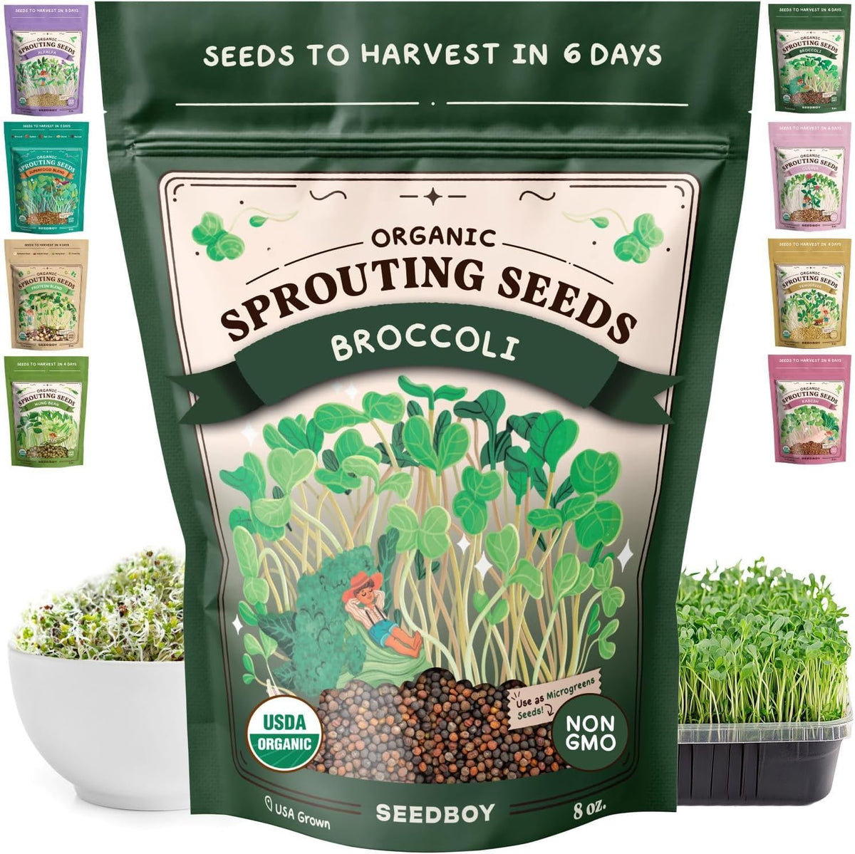 Seedboy Organic Non-GMO Broccoli Seeds for Sprouting - USA Grown Microgreens Sprouting Seeds - 8 oz