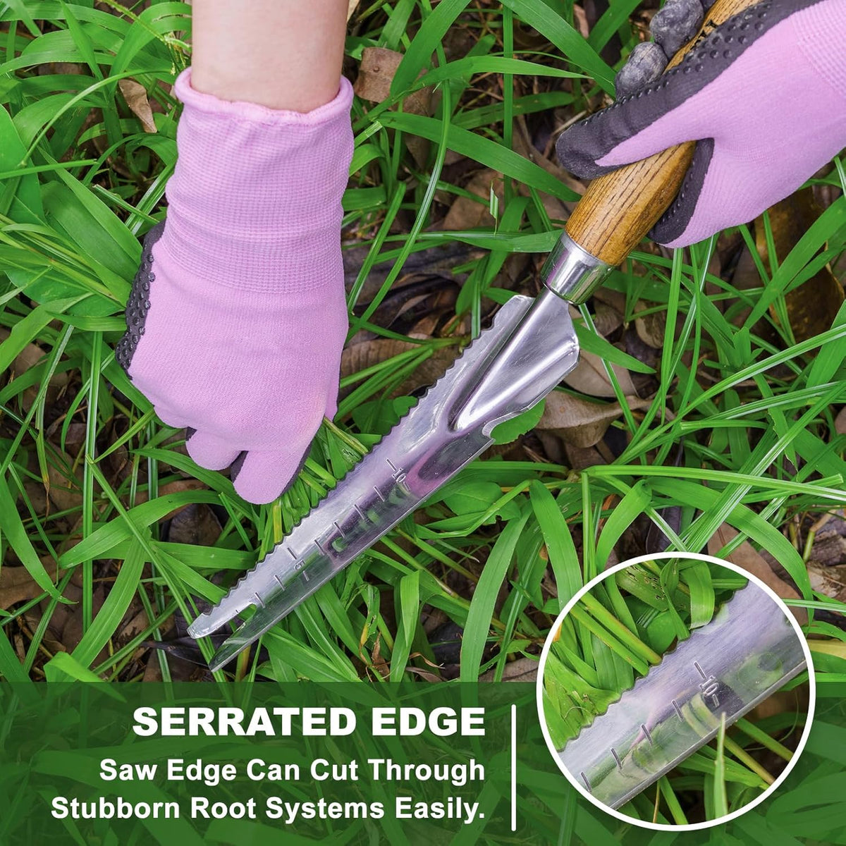 Haliaeetus Multi-Use Weed Trowel, Stainless Steel Dandelion Fork Puller, Serrated Edges Manual Weed