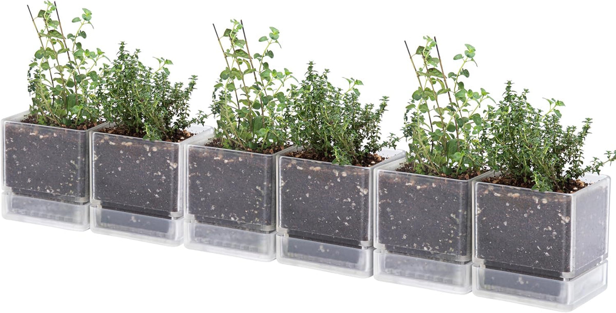 4 Inch Herb Planter Pot, Plastic Planter with Drainage Holes and Saucer, Modern Decorative
