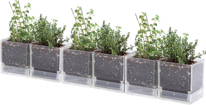 4 Inch Herb Planter Pot, Plastic Planter with Drainage Holes and Saucer, Modern Decorative