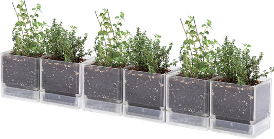 4 Inch Herb Planter Pot, Plastic Planter with Drainage Holes and Saucer, Modern Decorative