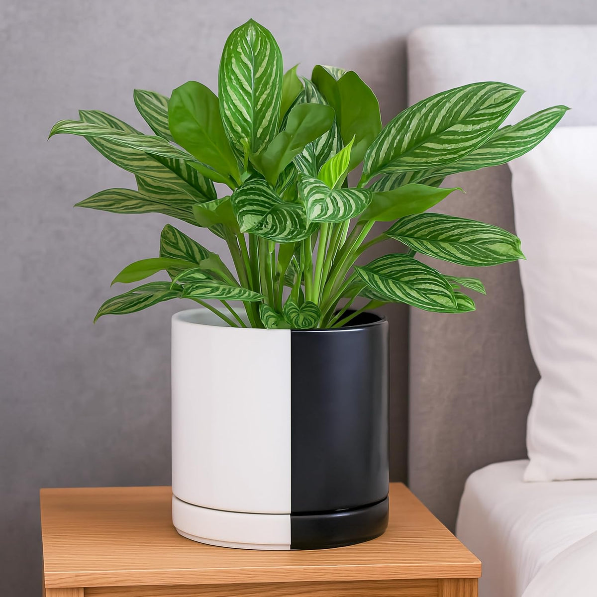 D'vine Dev 8.2 Inch Ceramic Planter Pot with Drainage Hole and Saucer, Indoor Cylinder Round