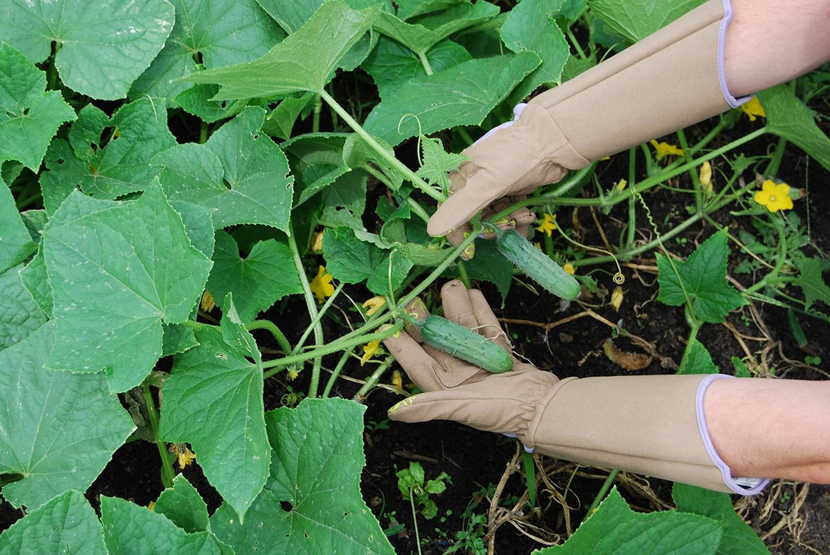 Magid Glove & Safety Professional Rose Pruning Thorn Resistant Gardening Gloves with Long Forearm