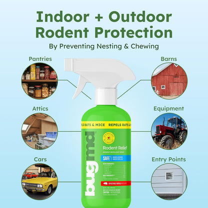 BugMD Peppermint Oil Spray for Rodents - 16oz Mouse Repellent & Rodent Repellent Spray, Natural