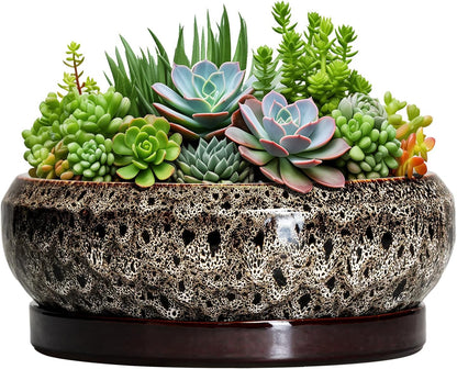 Succulent Pots 10 Inch - Ceramic Bonsai Pots with Drainage Hole and Tray, Large Succulent Planters