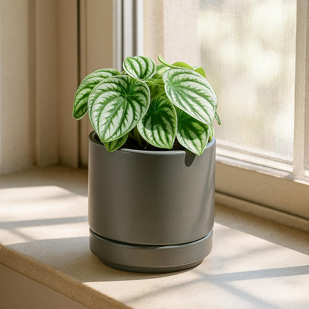 D'vine Dev Set of 2 Plants Pots, 4.7 Inch Ceramic Planter Pot for Plants with Drainage Hole and