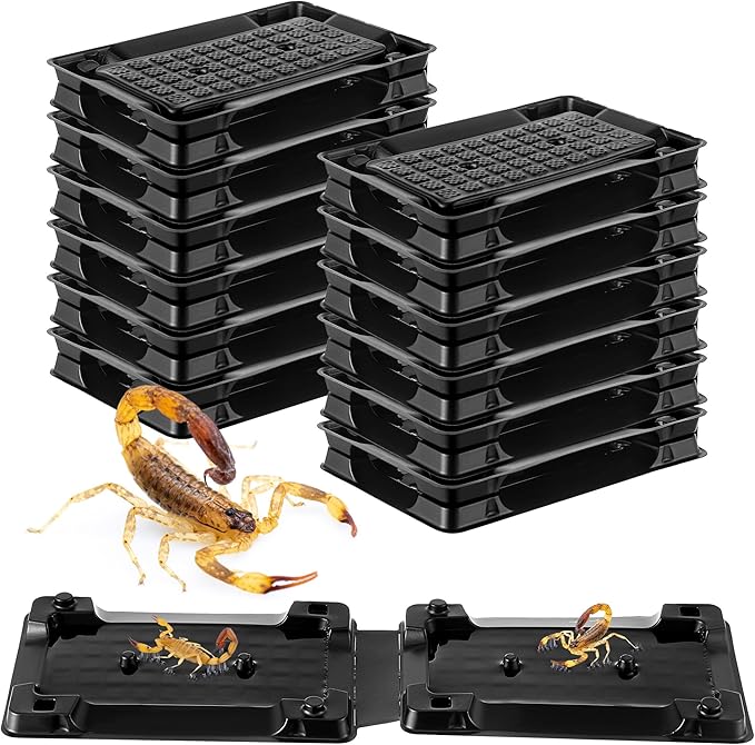 Qualirey 12 Scorpion Glue Tray Traps, Adhesive Scorpion Killer Indoor, Pet and Children Safe