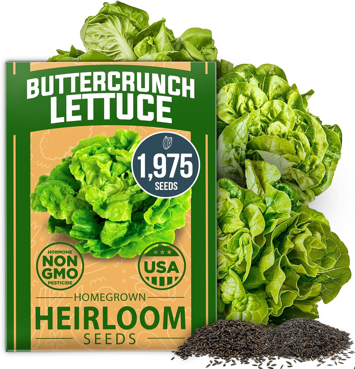 HOME GROWN 𝗨𝗦𝗔 𝗣𝗥𝗘𝗠𝗜𝗨𝗠 Buttercrunch Lettuce Seeds Bulk Pack - 1975 Heirloom 𝗡𝗢𝗡-𝗚𝗠𝗢