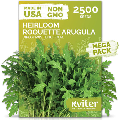 KVITER 2500 Roquette Arugula Seeds (Diplotaxis tenuifolia) - Arugula Fresh Organic & Non GMO