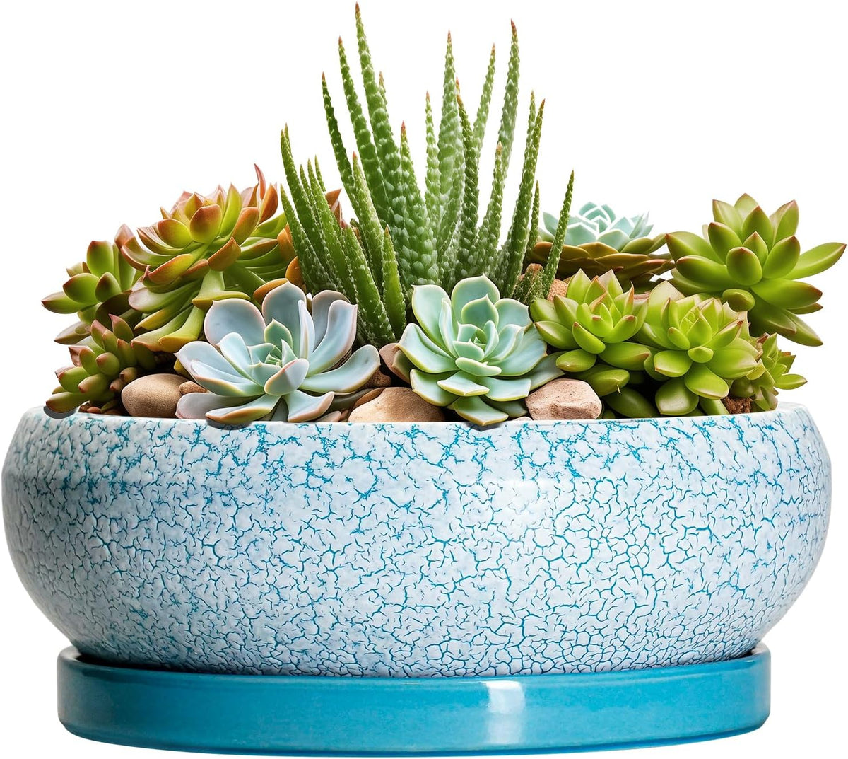 Succulent Pots 8 Inch - Ceramic Bonsai Pots with Drainage Hole and Saucer, Succulent Planters for