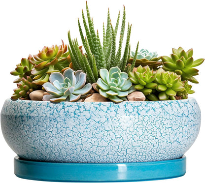 Succulent Pots 8 Inch - Ceramic Bonsai Pots with Drainage Hole and Saucer, Succulent Planters for