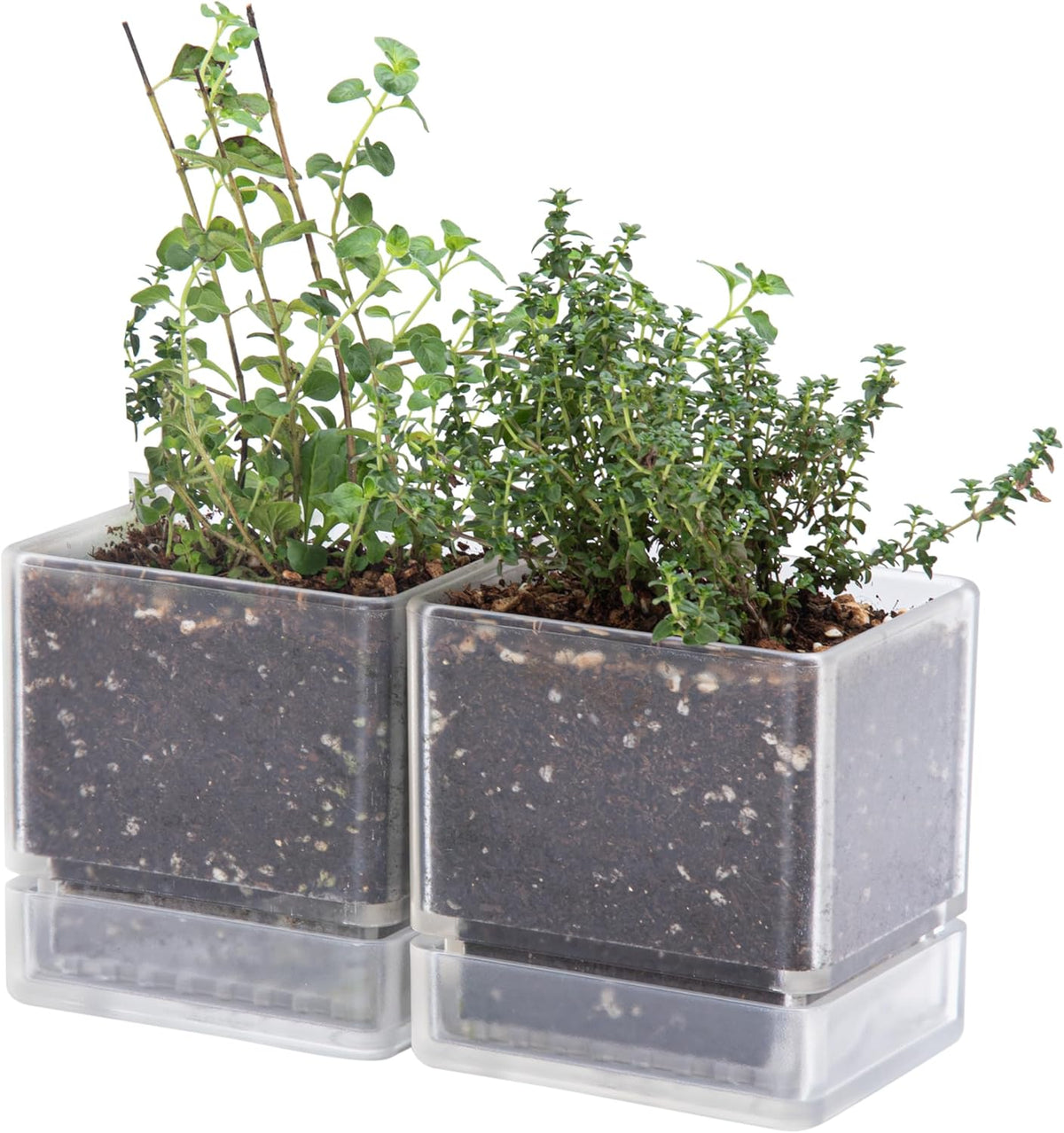 4 Inch Herb Planter Pot, Plastic Planter with Drainage Holes and Saucer, Modern Decorative