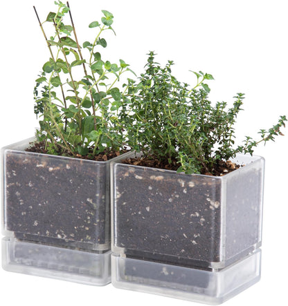 4 Inch Herb Planter Pot, Plastic Planter with Drainage Holes and Saucer, Modern Decorative