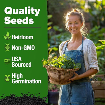HOME GROWN 𝗨𝗦𝗔 𝗣𝗥𝗘𝗠𝗜𝗨𝗠 Lemon Balm Seed Pack - 403 Non-GMO USA Heirloom Herbal Tea Seeds