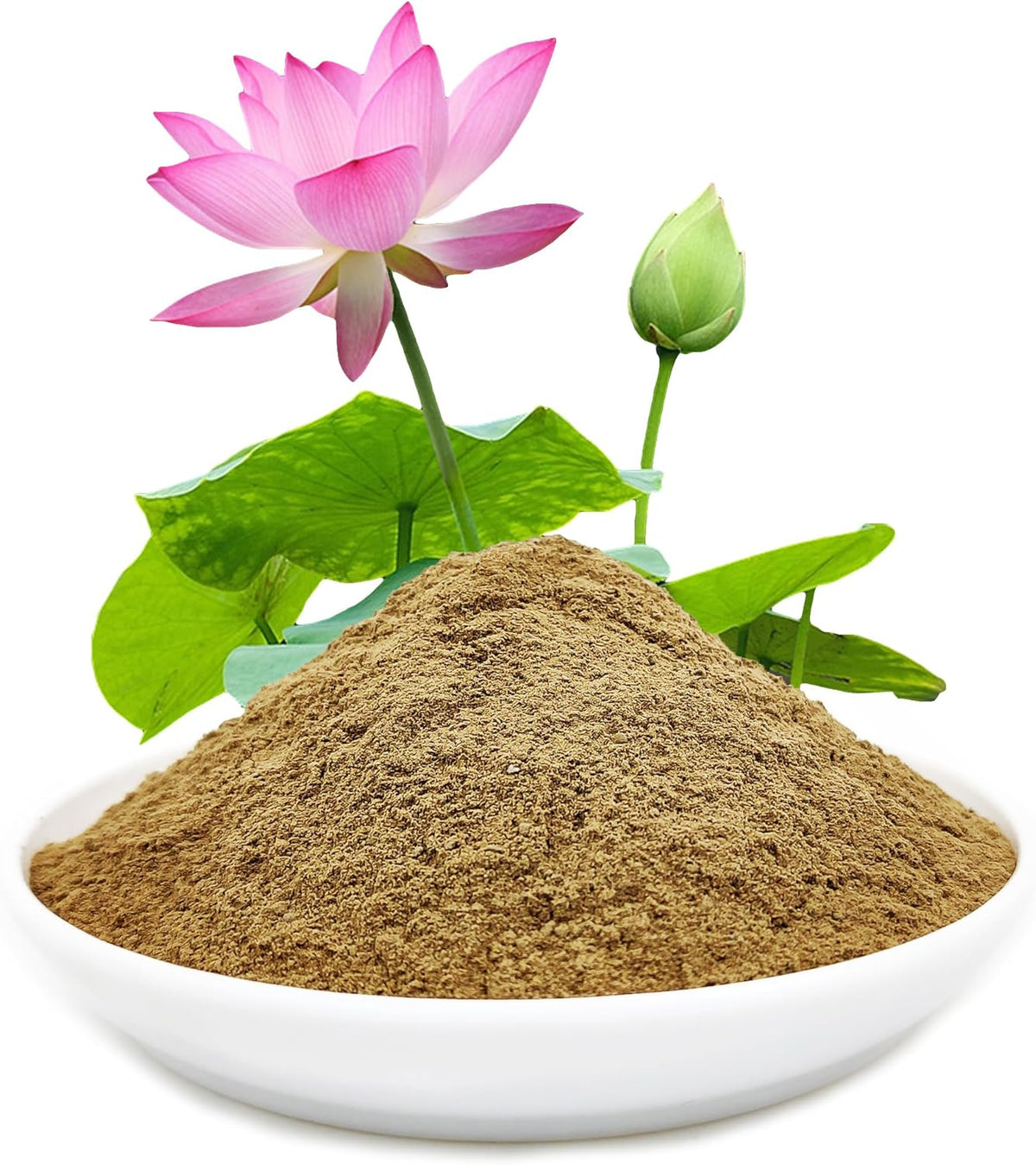 Natural Pond Mud Soil for Planting Bonsai Lotus Flower (2)