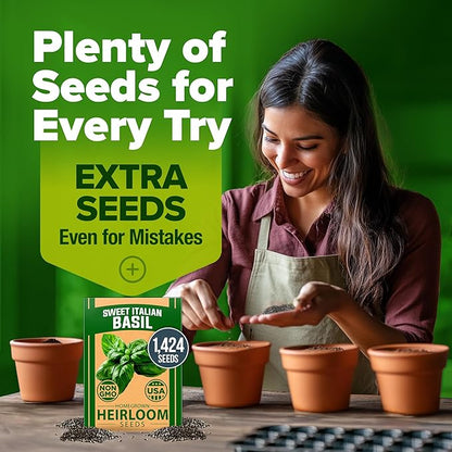 HOME GROWN 𝗨𝗦𝗔 𝗣𝗥𝗘𝗠𝗜𝗨𝗠 Italian Basil Seeds Bulk Pack 1,424 Sweet Large Leaf Basil Seeds
