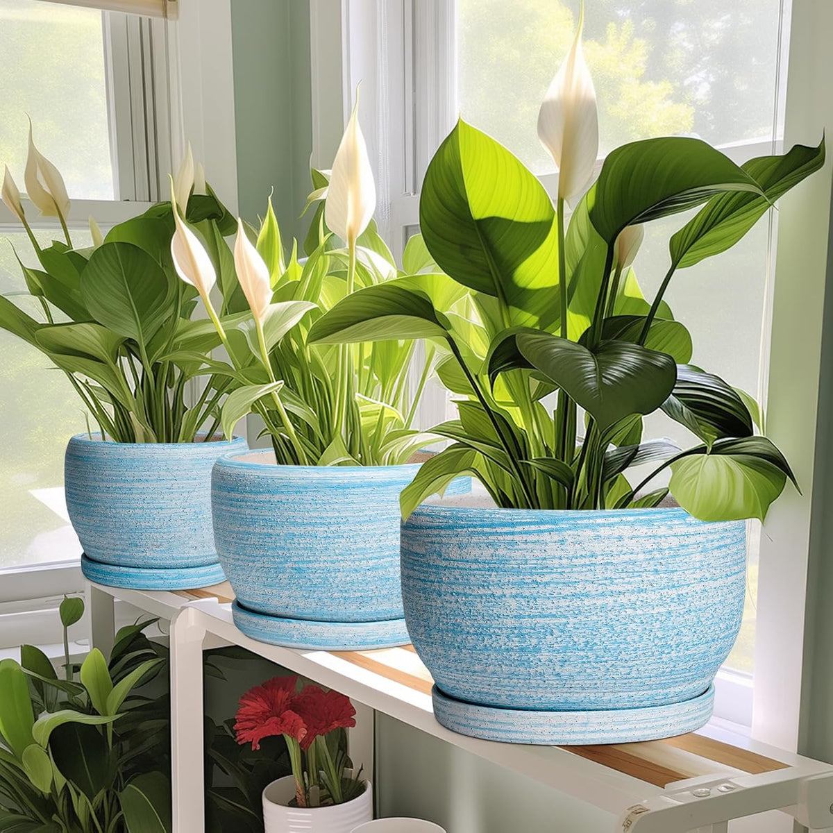 SQOWL Ceramic Planter - 8 inch Pot for Plants Indoor Outdoor, Modern Ceramic Flower Pot with
