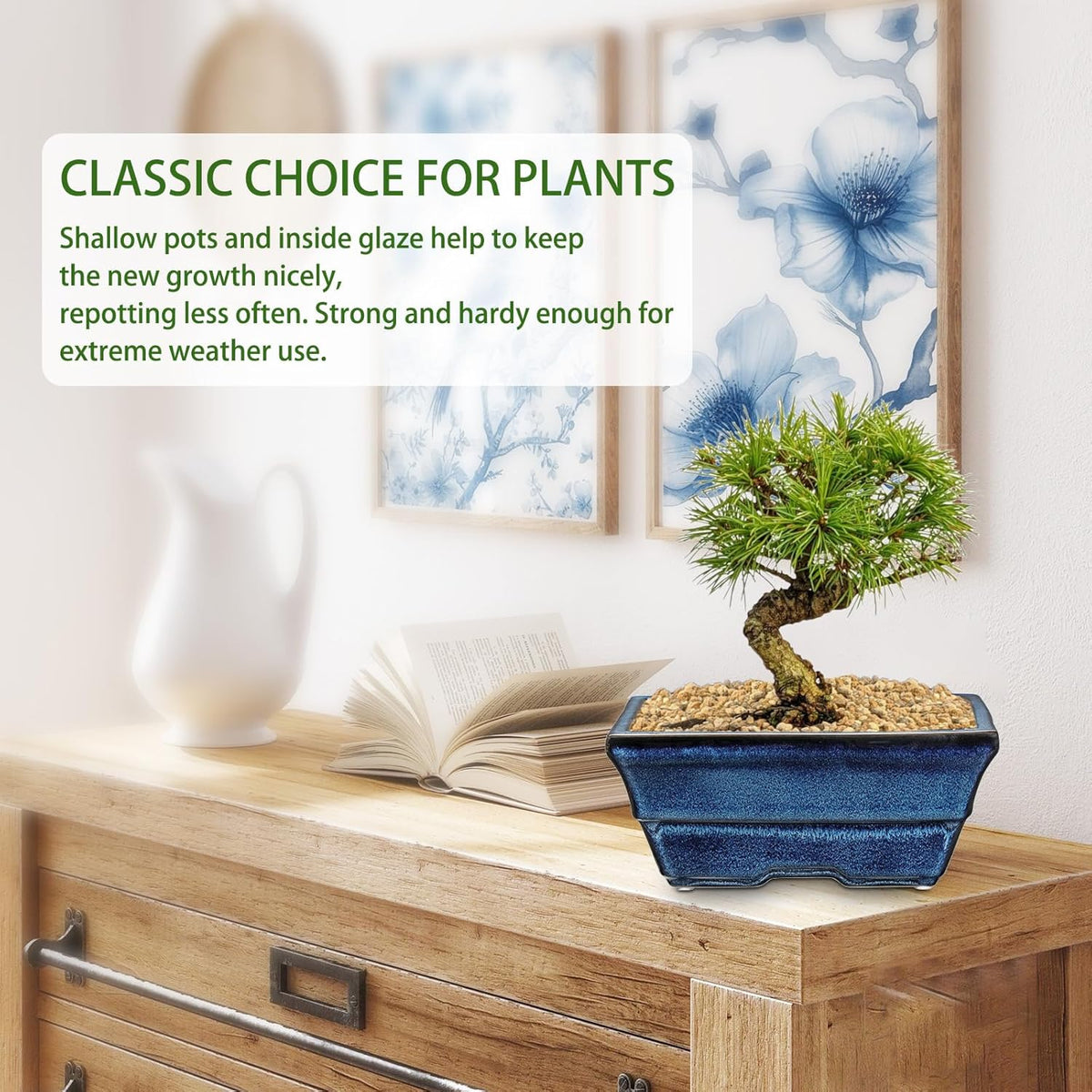 Blue Glazed Ceramic Bonsai Tree Pots with Drainage Hole, Set of 2 Rectangular Bonsai Pots Planters
