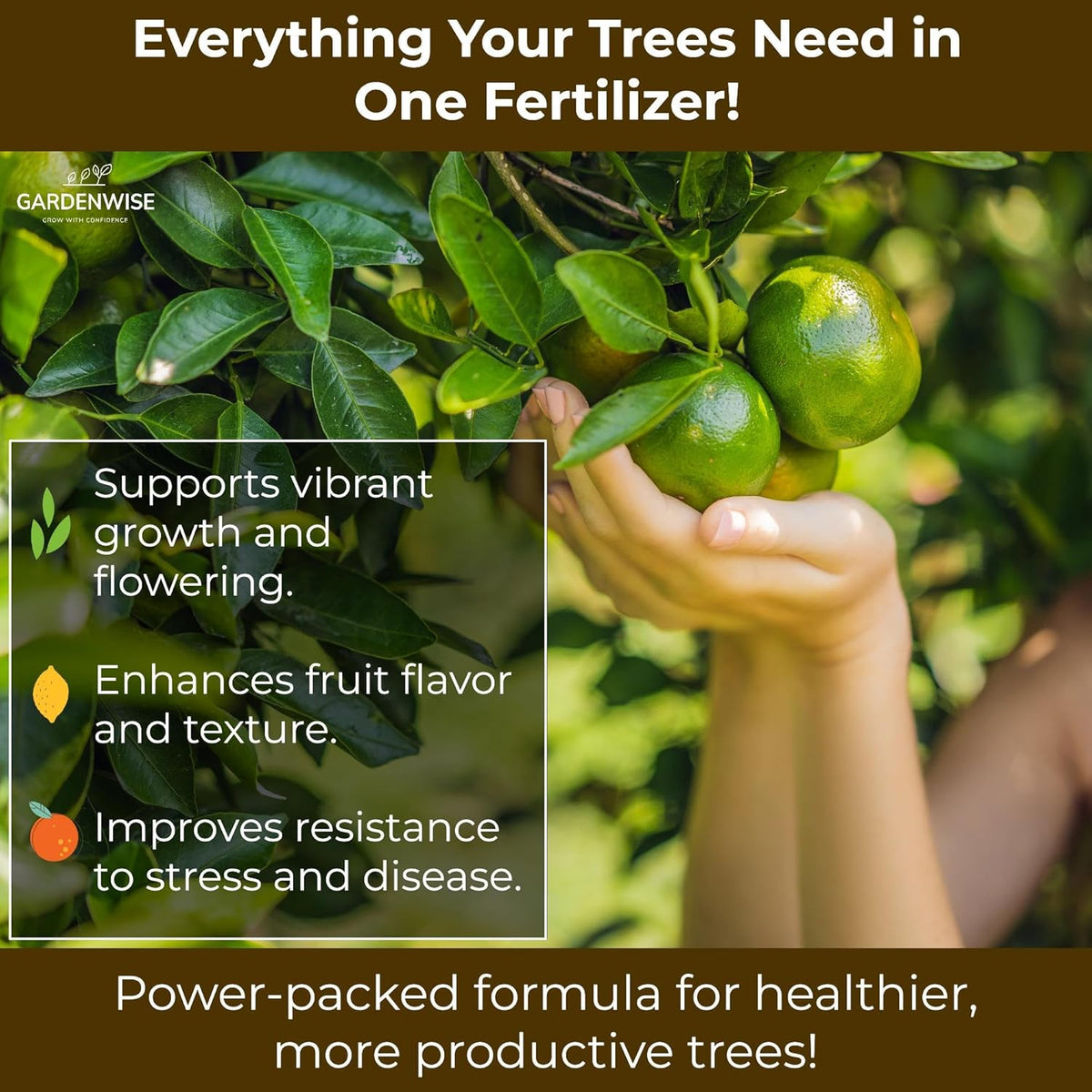 Professional Citrus Fertilizer + Vital Micronutrients; Perfect Balanced NPK for All Citrus; for