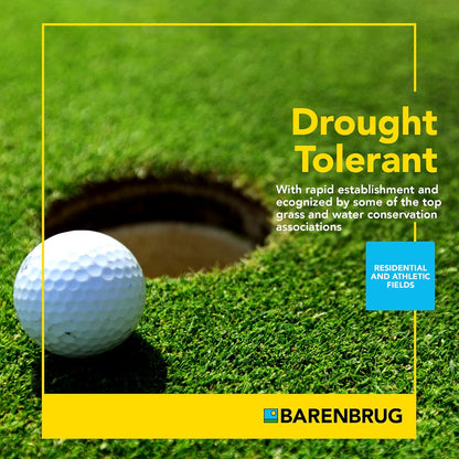Barenbrug Turf Blue Pro Kentucky Bluegrass Lawn Seed with Yellow Jacket Seed Coating, All-Season