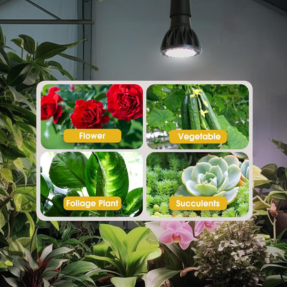 Briignite Grow Light Bulbs, 10W Plant Light Bulb, 150W Equivalent, High PPFD, PAR20 Full Spectrum