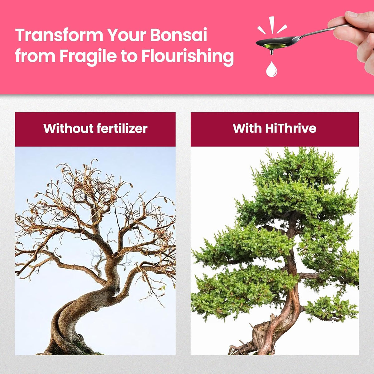 32oz Bonsai Tree Live Liquid Plant Food - Makes 64 Gallons of Bonsai Fertilizer Liquid, Premium