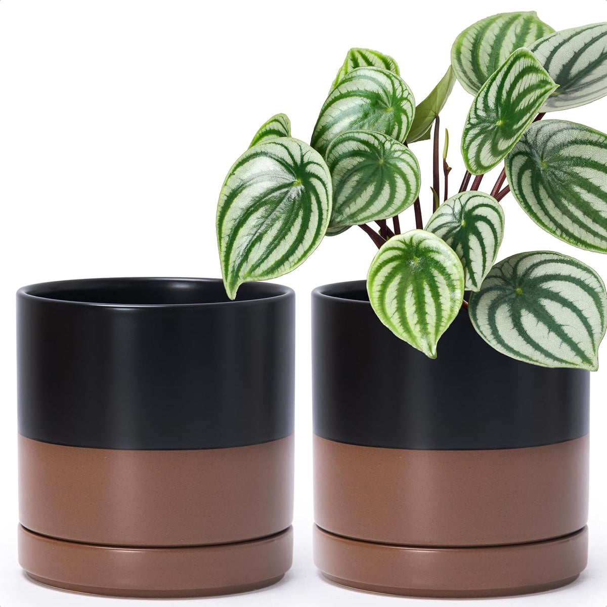 D'vine Dev Set of 2 Plants Pots, 6 Inch Ceramic Planter Pot for Plants with Drainage Hole and