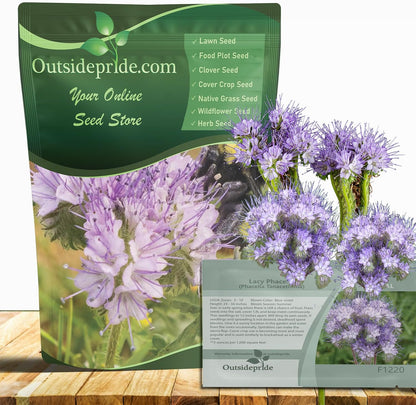 Outsidepride Lacy Phacelia Seeds for Planting - 5000 Pcs Annual, Drought-Tolerant Wildflower Seeds