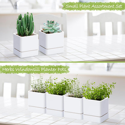 4 Inch Herb Planter Pot, Plastic Planter with Drainage Holes and Saucer, Modern Decorative