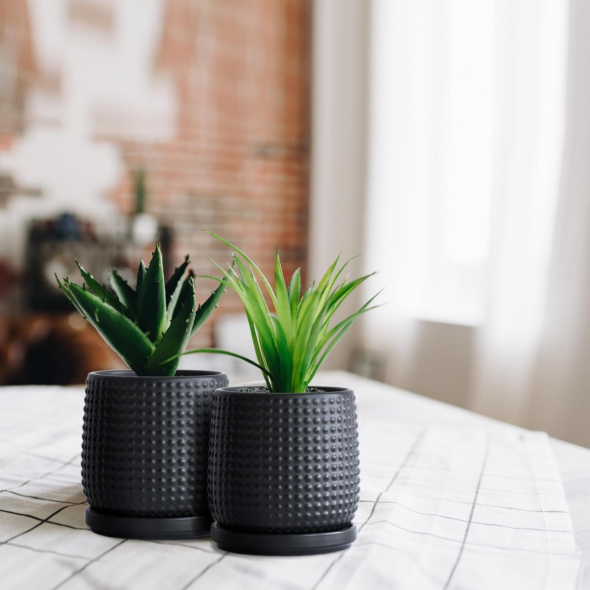 D'vine Dev Set of 2 Ceramic Plants Pots, 4 Inch Beaded Stoneware Flower Pot for Plants with
