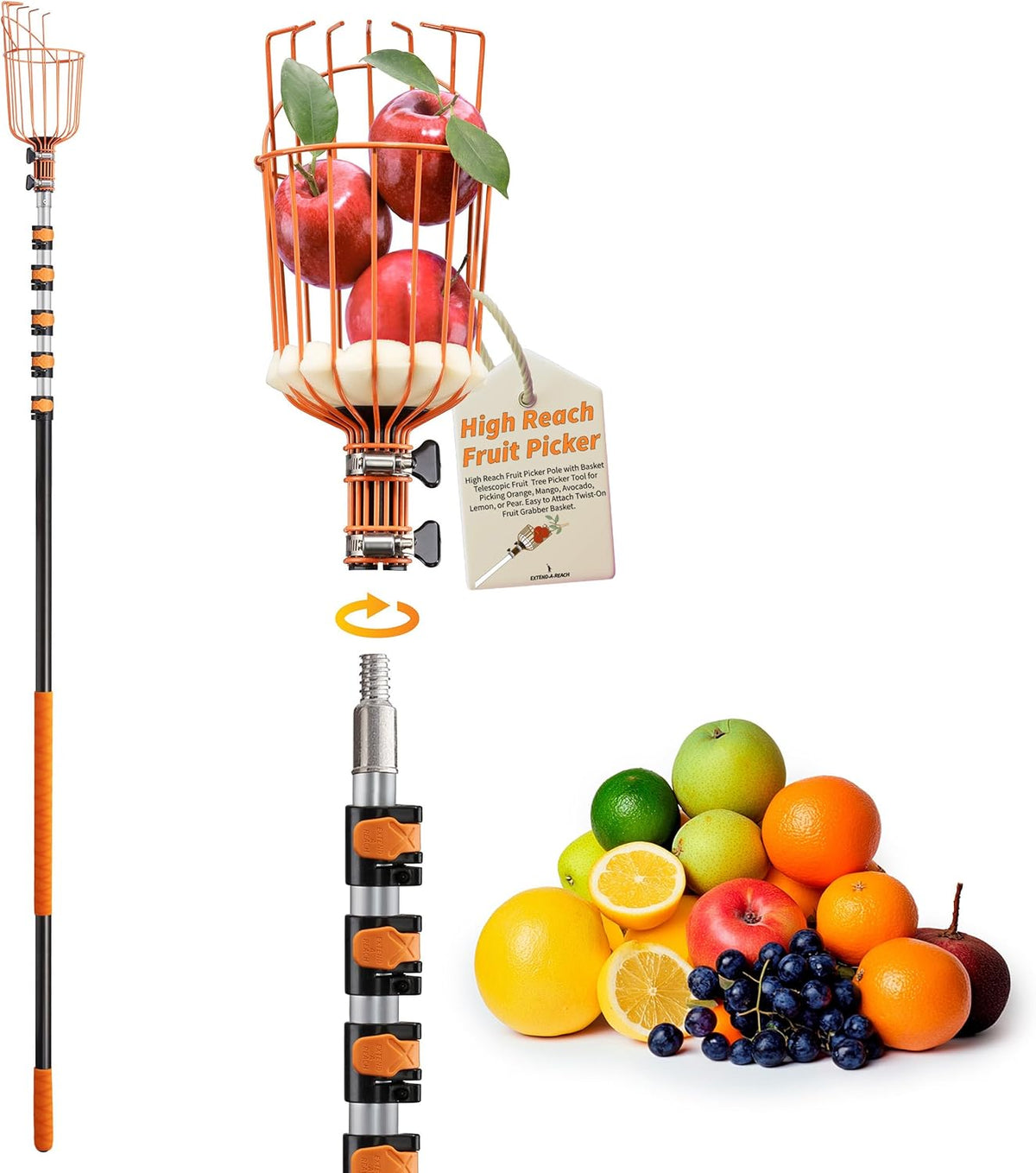 Fruit Picker Pole with Basket Telescoping 5-24 ft Apple Picker Extension Pole // Telescopic Fruit