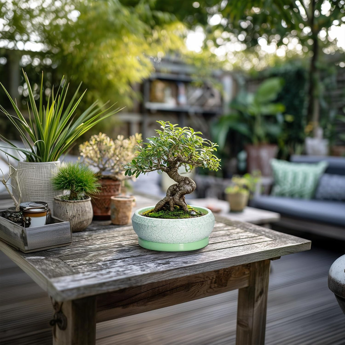 Succulent Pot 6 Inch - Ceramic Bonsai Pots Indoor Outdoor, Shallow Plant Pots with Drainage Hole