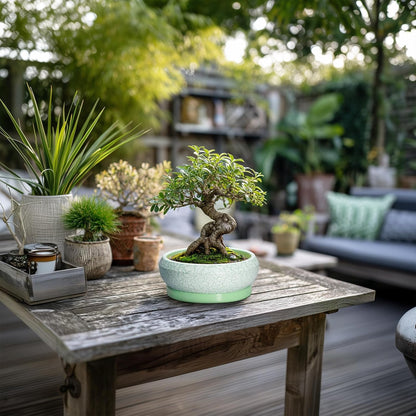 Succulent Pot 6 Inch - Ceramic Bonsai Pots Indoor Outdoor, Shallow Plant Pots with Drainage Hole