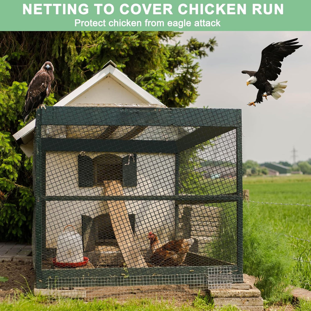 100'x100' Bird Netting for Chicken Coop, Nylon 3/4" Mesh Poultry Netting Chicken Nettings Roof
