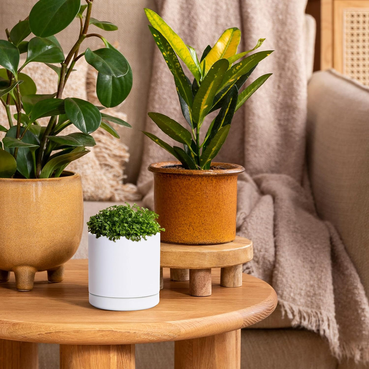 D'vine Dev 3.5 Inch Ceramic Planter Pot with Drainage Hole and Saucer, Indoor Cylinder Round