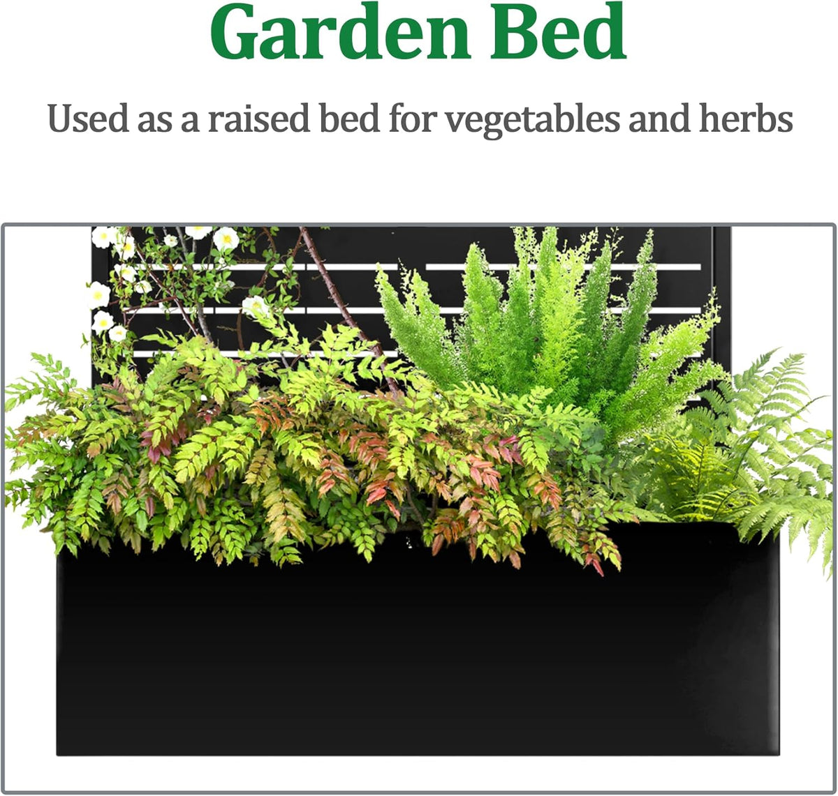 Metal Raised Garden Bed with Trellis, 2 in 1 Trellis with Planter Box & Privacy Screen for Climbing