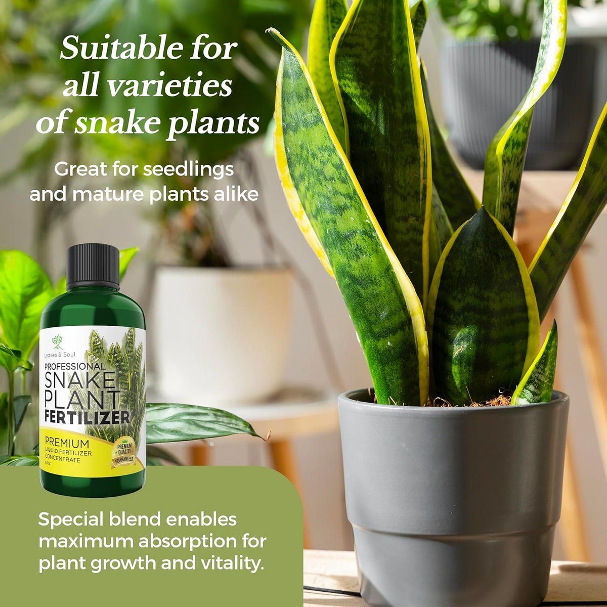 Professional Liquid Snake Plant Fertilizer | 3-1-2 Concentrate for Plants and Flowers |