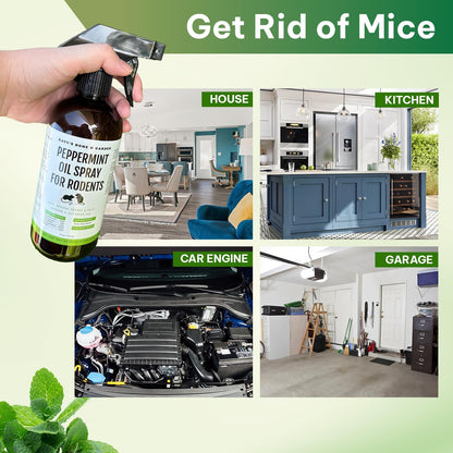 Kate Naturals Peppermint Oil Spray for Rodents, Squirrels, Mouse, Bat, Rat, Car Engines (16oz