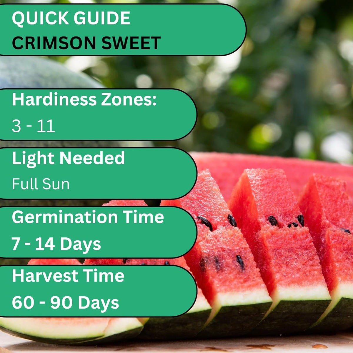 Woods Creek Seeds: Crimson Sweet Watermelon Seeds for Planting - Over 45 Heirloom Watermelon Seed