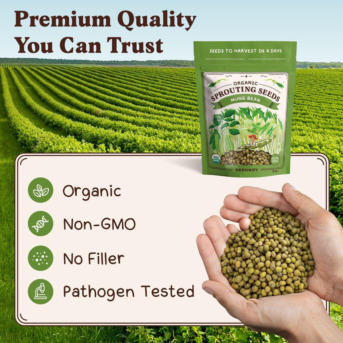 Seedboy Organic Non-GMO Mung Bean Seeds for Sprouting - Microgreens Sprouting Seeds - 8 oz Bag
