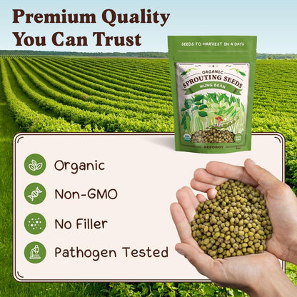 Seedboy Organic Non-GMO Mung Bean Seeds for Sprouting - Microgreens Sprouting Seeds - 8 oz Bag
