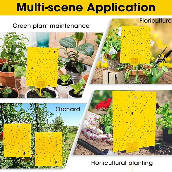 Qualirey 200 Pcs 7.87 x 9.84 Inches Yellow Sticky Traps for Plant Gnats Dual Sided Fruit Fly Sticky