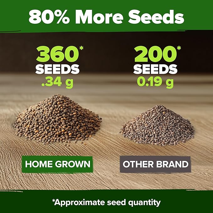 HOME GROWN 𝗨𝗦𝗔 𝗣𝗥𝗘𝗠𝗜𝗨𝗠 Culantro Seeds 360 Herb Seeds for Planting Non-GMO Heirloom