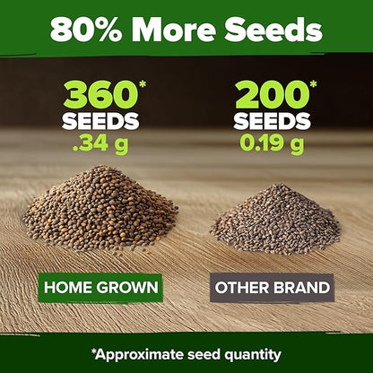 HOME GROWN 𝗨𝗦𝗔 𝗣𝗥𝗘𝗠𝗜𝗨𝗠 Culantro Seeds 360 Herb Seeds for Planting Non-GMO Heirloom