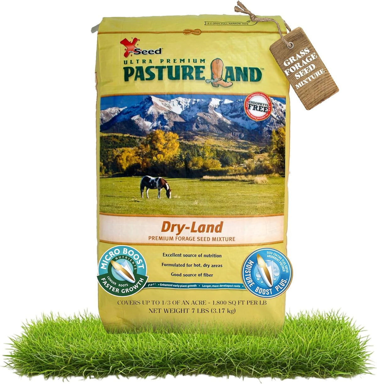 X-Seed Pasture Land Dry-Land Forage Seed Mixture with Micro-Boost – Tall Fescue Orchard Grass