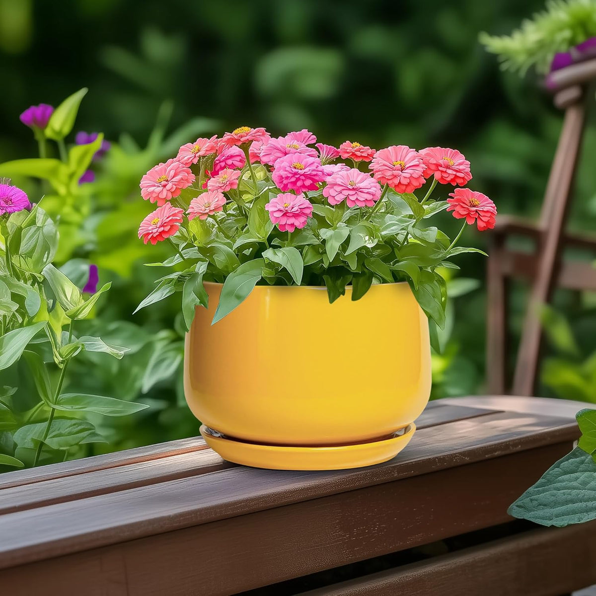 G EPGardening Ceramic Plant Pot - 6 Inch Ceramic Planter with Drainage Hole and Tray, Modern Round